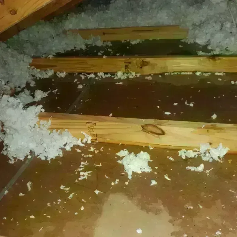 Attic Water Damage in Ansted, WV